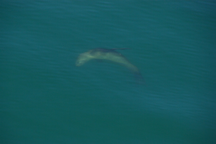 f0268294_2174814.jpg