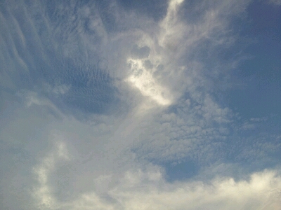 d0239796_17594014.jpg