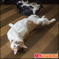 人気ブログランキングへ