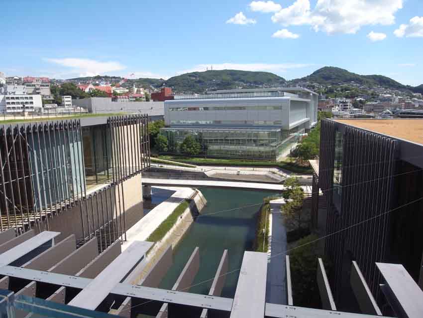 a0315601_117489.jpg
