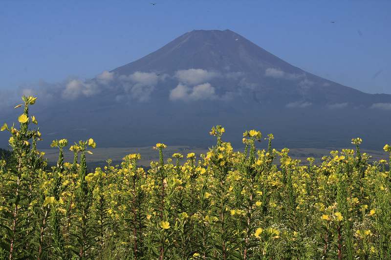 a0188405_9484972.jpg