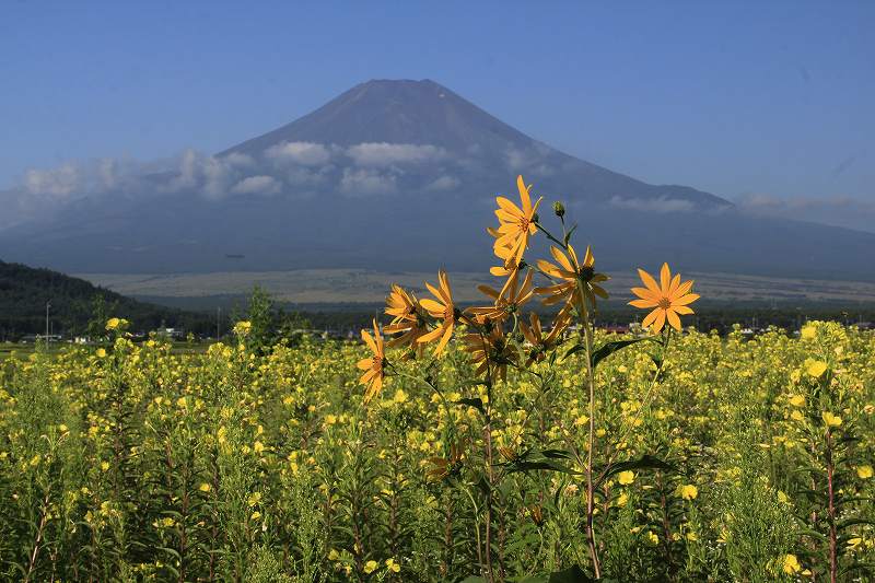 a0188405_9493161.jpg