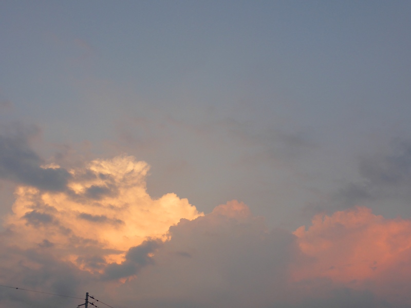 b0057612_1312228.jpg