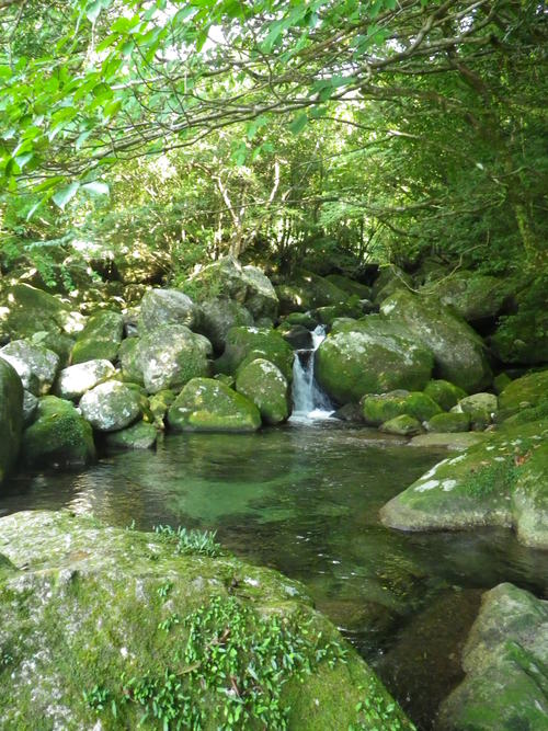e0238313_1950579.jpg