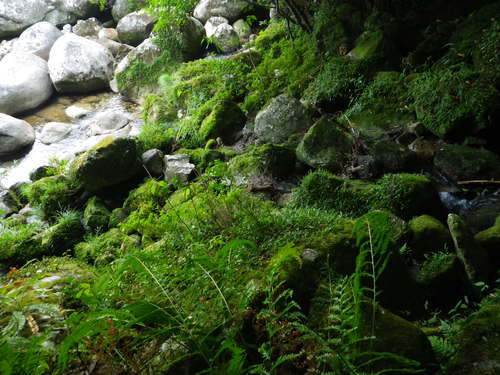 e0238313_20522916.jpg