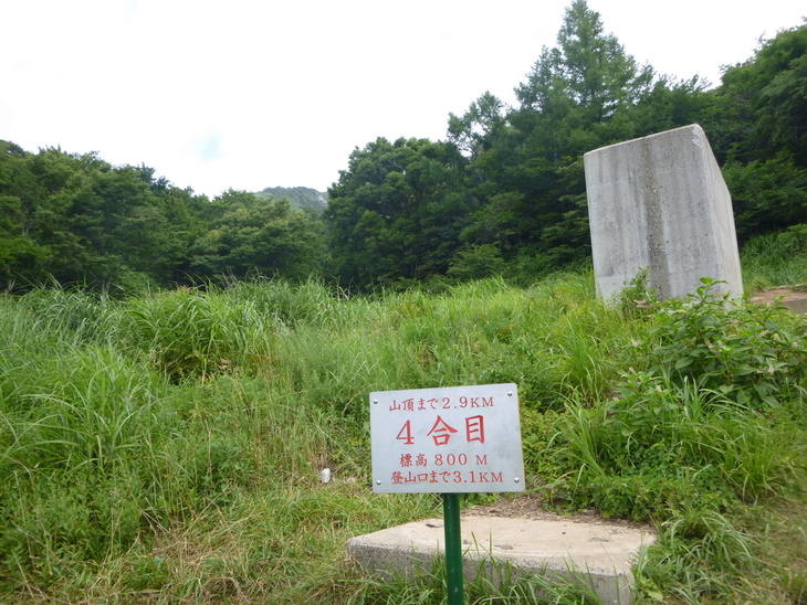 d0170615_13453959.jpg