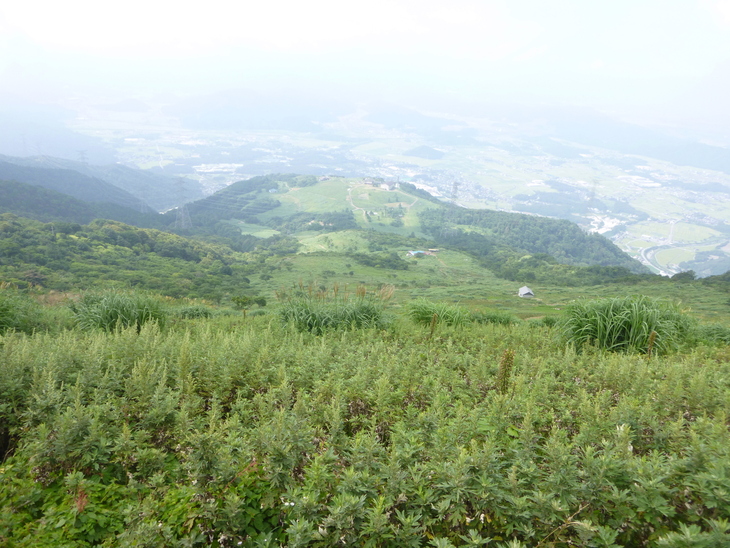 d0170615_13463122.jpg