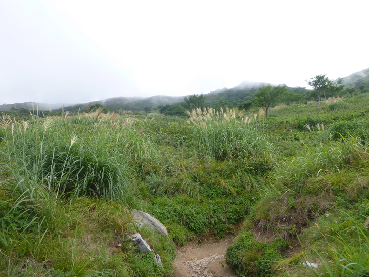 d0170615_13464496.jpg