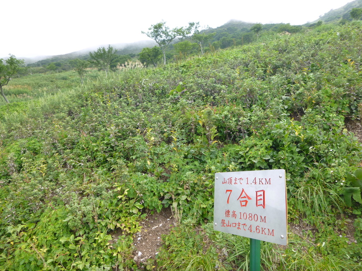 d0170615_13465439.jpg
