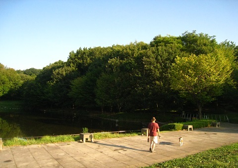 c0084117_1811286.jpg