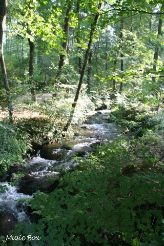 c0071221_1113476.jpg