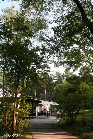 c0071221_11153256.jpg