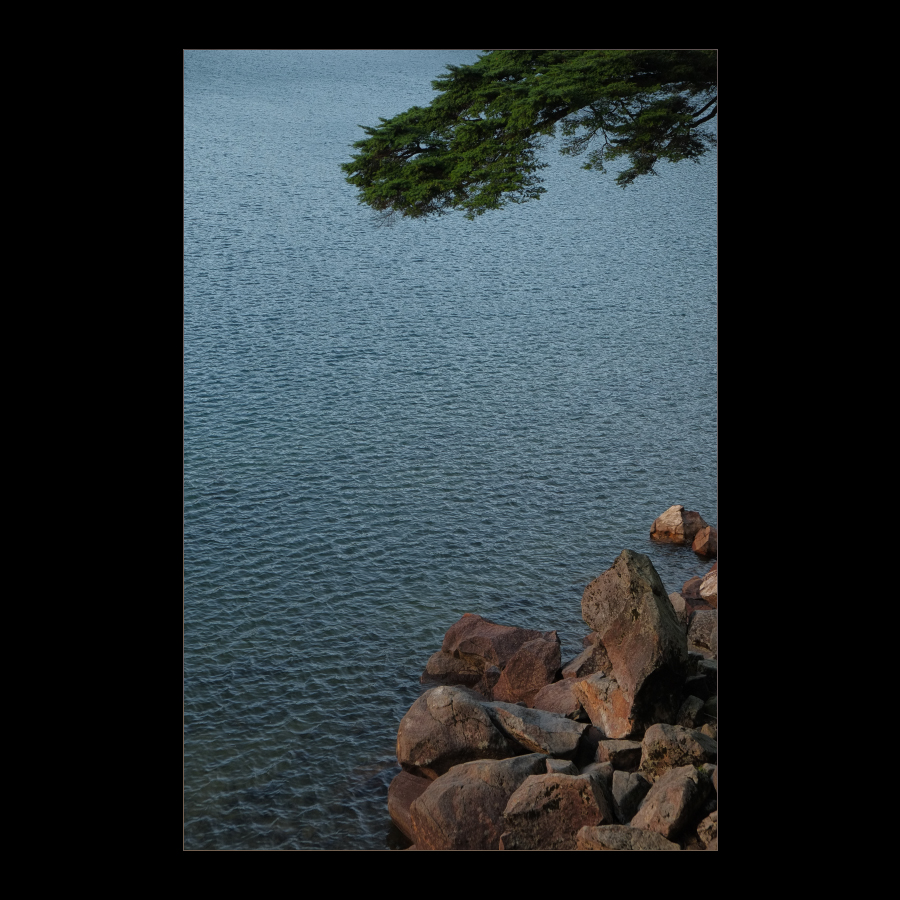 d0004832_1932241.jpg
