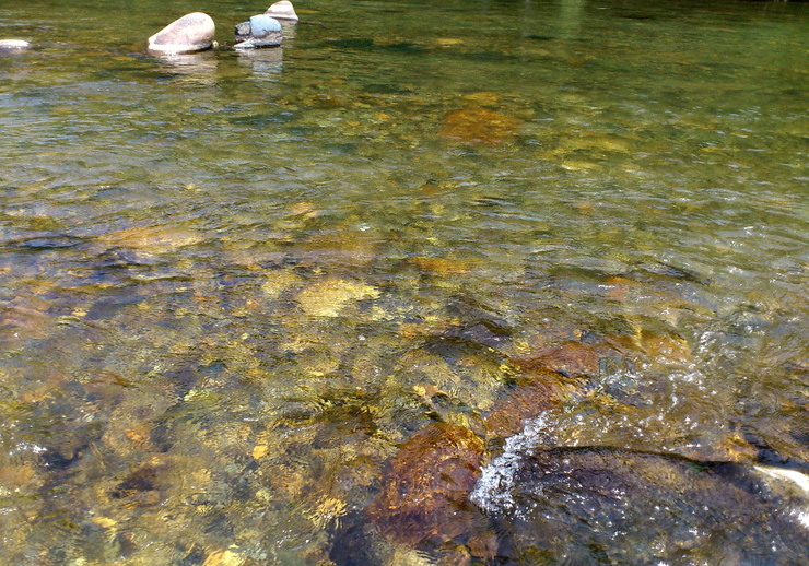 b0242140_16241536.jpg