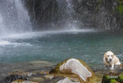 a0142343_1115793.jpg