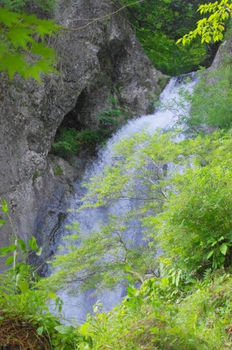 a0142343_1134440.jpg