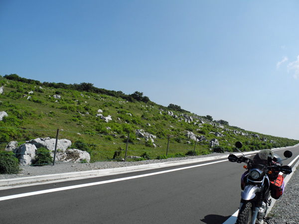 d0164443_21234534.jpg