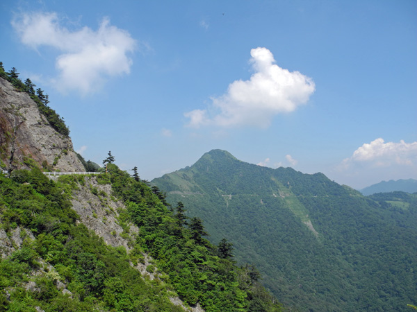 d0164443_2131666.jpg