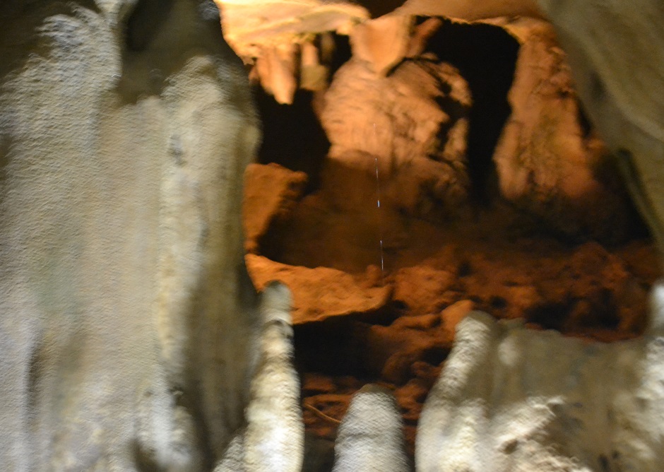 a0055650_043816.jpg