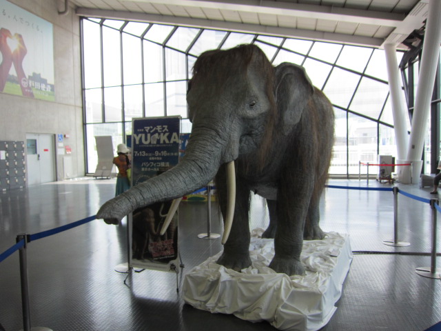 c0220154_133744.jpg
