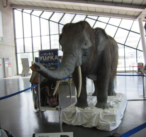 c0220154_13375586.jpg