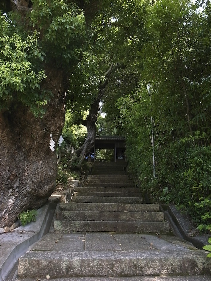 f0134963_21313047.jpg