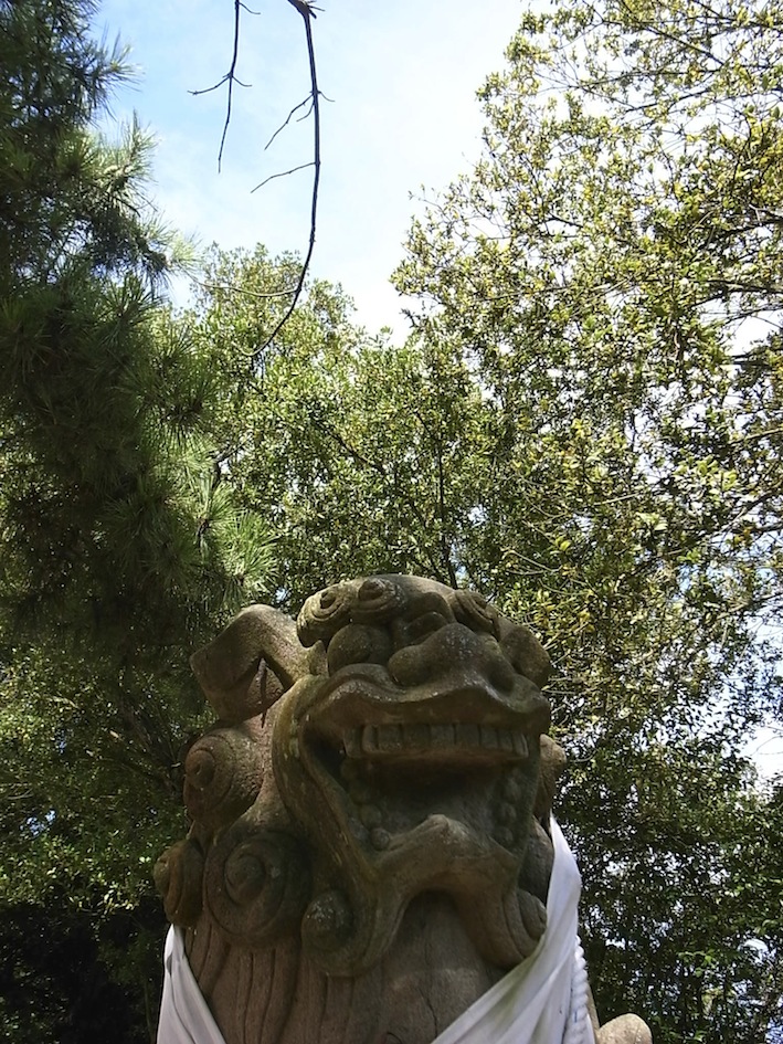 f0134963_21563266.jpg
