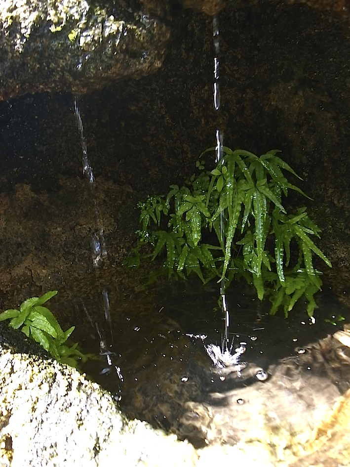 f0134963_21572590.jpg