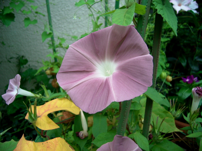 d0225575_751371.jpg