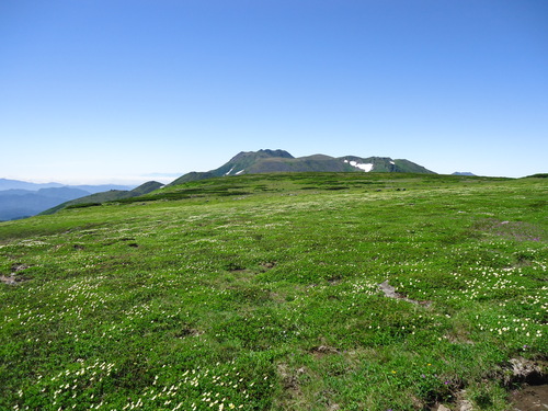 f0130376_20132540.jpg
