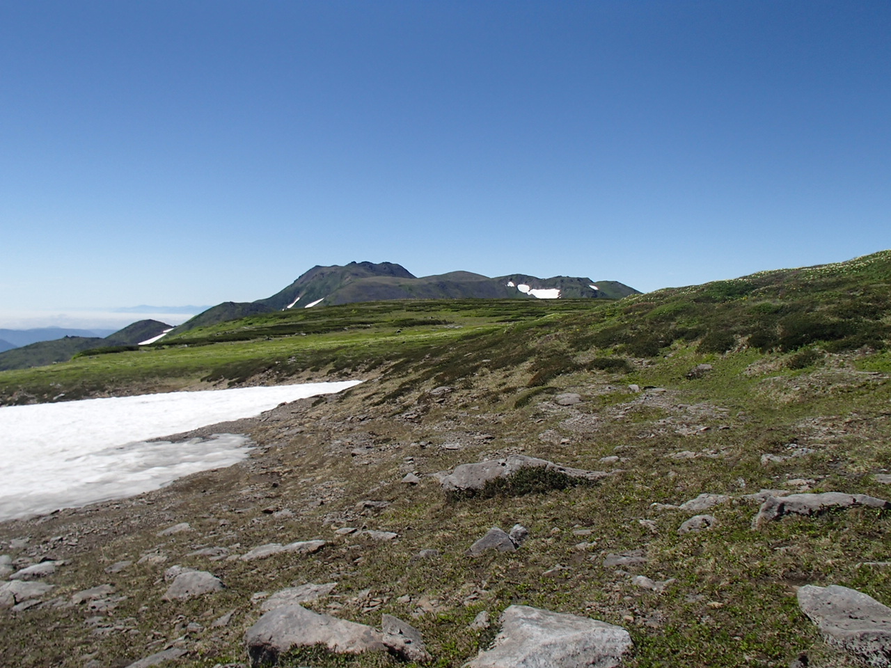 f0130376_20141790.jpg