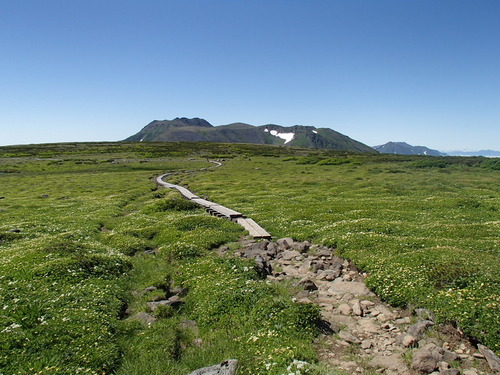 f0130376_2016315.jpg