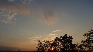 d0143678_8584961.jpg