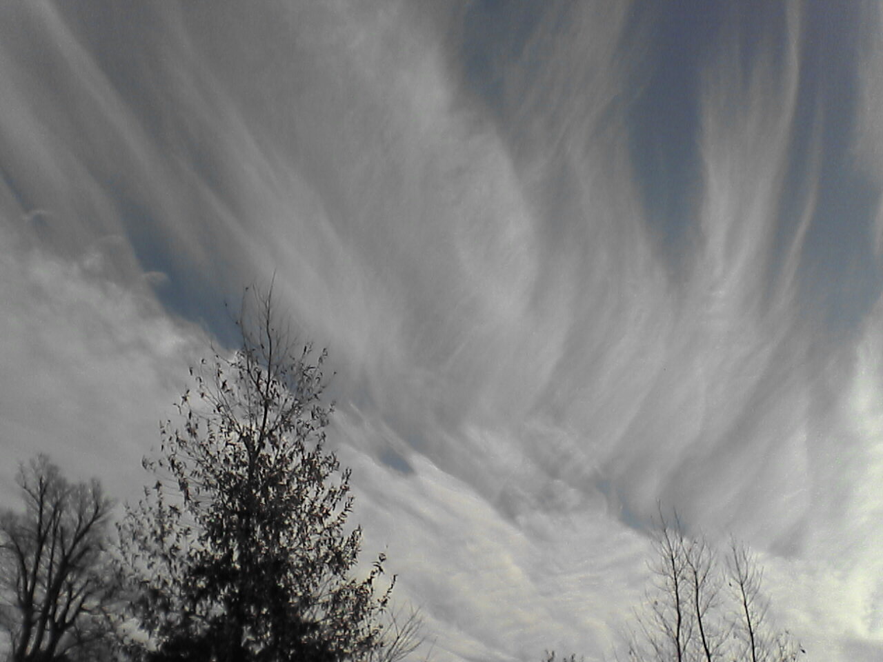 c0069380_15324264.jpg
