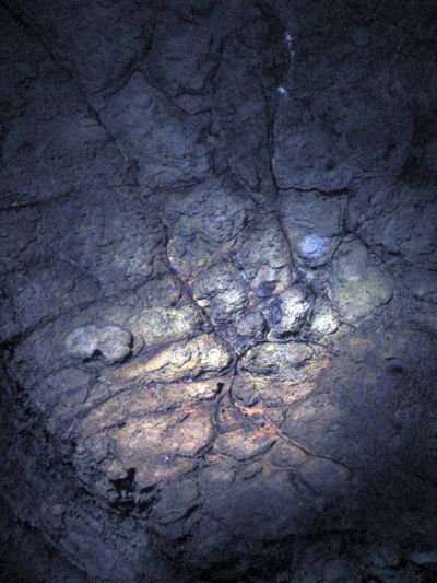 d0021786_1024135.jpg