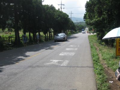 d0021786_1025860.jpg