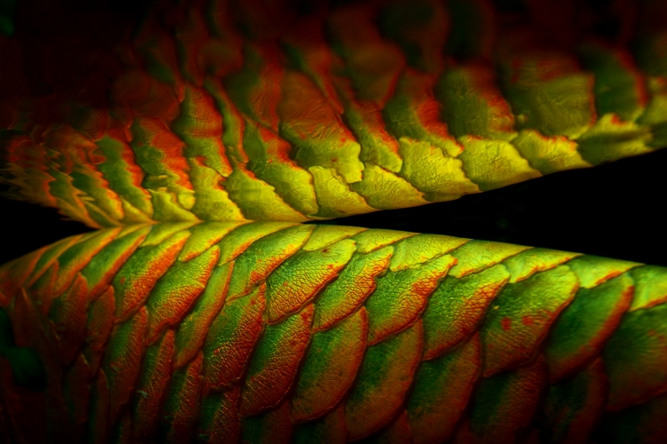 f0103688_1683247.jpg