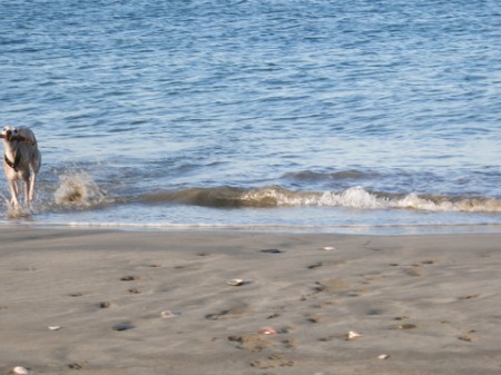f0177788_1542100.jpg