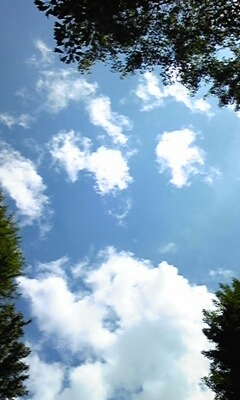 e0100589_18325740.jpg