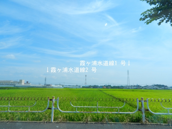 d0224990_18184258.jpg