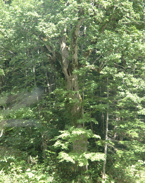 f0159390_11543338.jpg