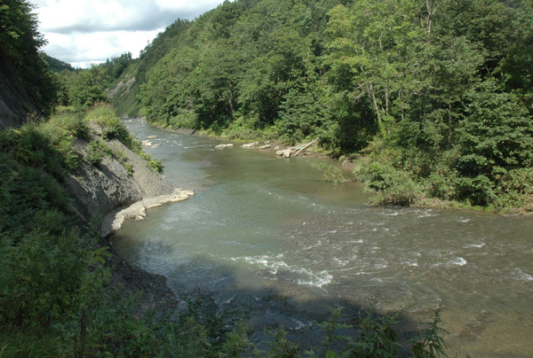 f0159390_1154729.jpg