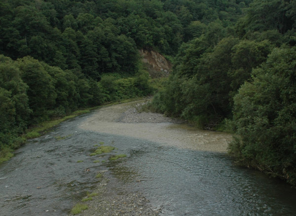 f0159390_11571881.jpg