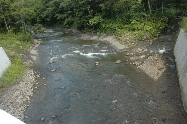 f0159390_1158328.jpg