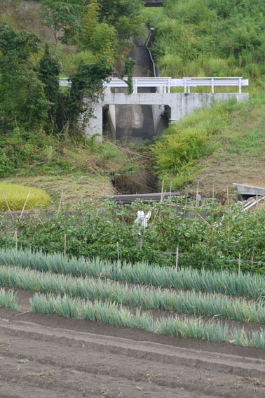 f0222692_134268.jpg