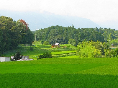 f0181394_16233425.jpg