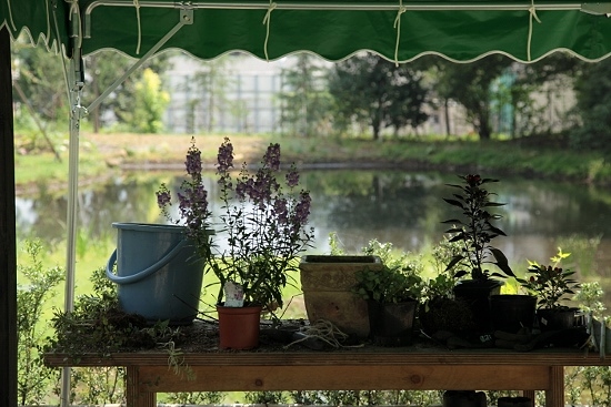 e0209997_873755.jpg