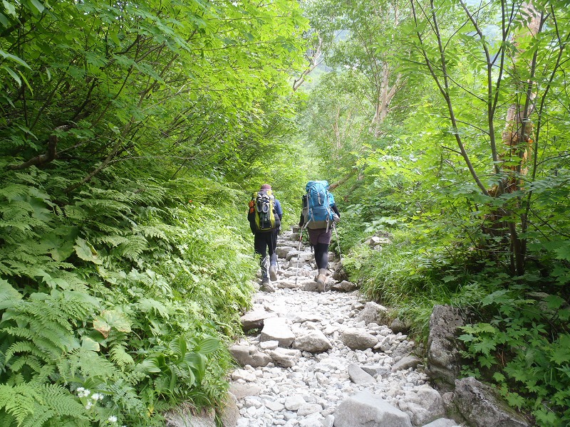 c0147398_0451781.jpg