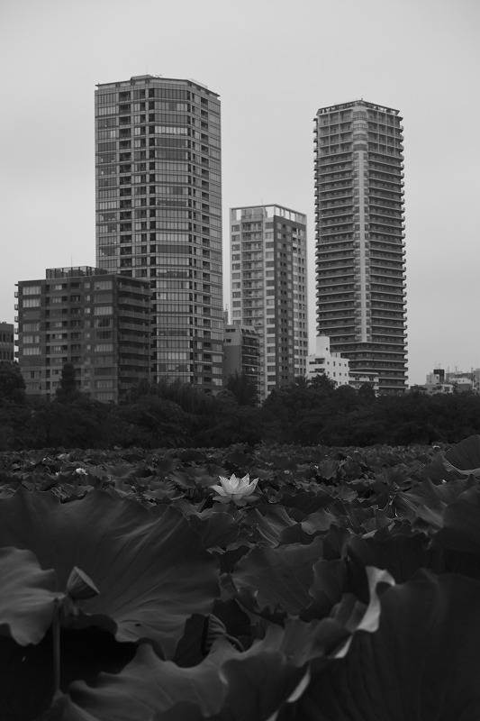 f0224100_542174.jpg