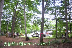 c0049708_23565965.jpg